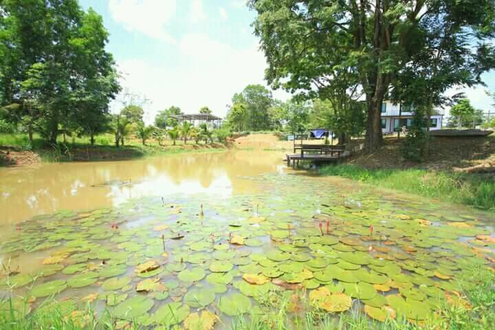 ซันสไมล์เฮาส์ Villa วังน้ำเขียว ภายนอก รูปภาพ